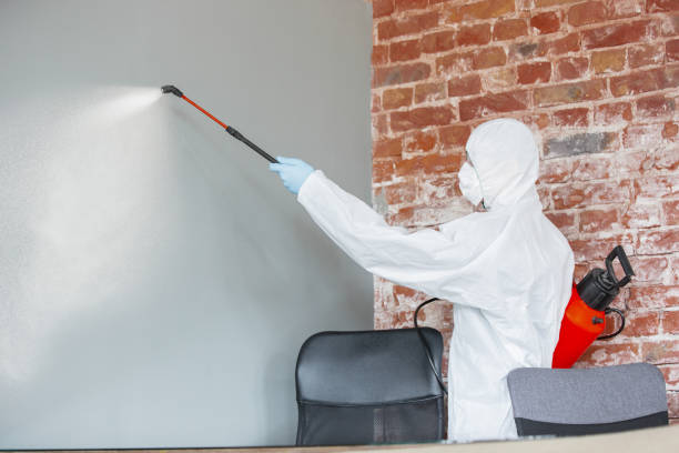 Best Mold-Related Health Consultation  in Columbus, OH