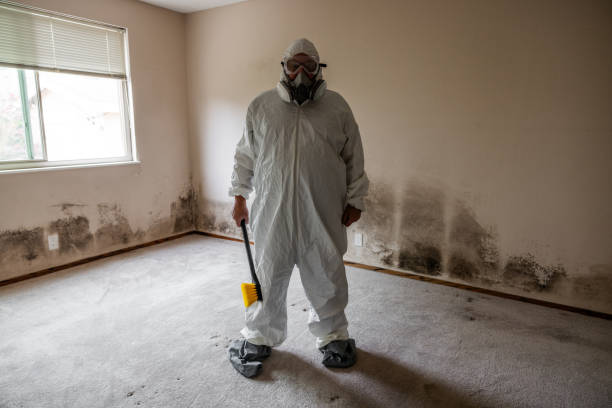 Best Airborne Mold Testing  in Columbus, OH
